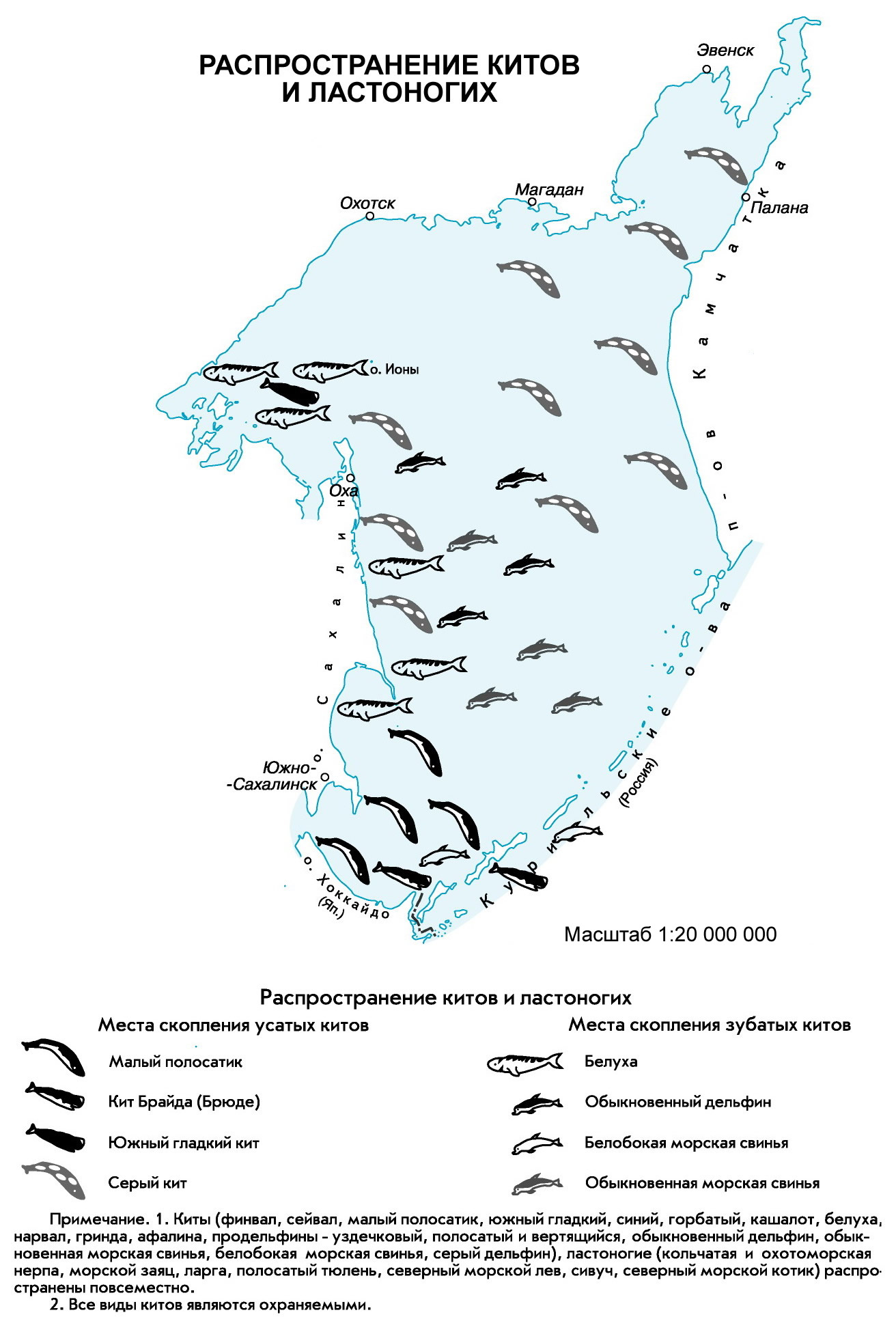 (Okhotsk Sea)